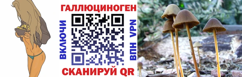Псилоцибиновые грибы прущие грибы  Кумертау 